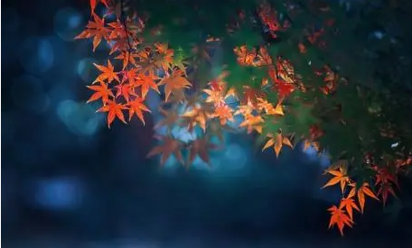054608707.png image.png