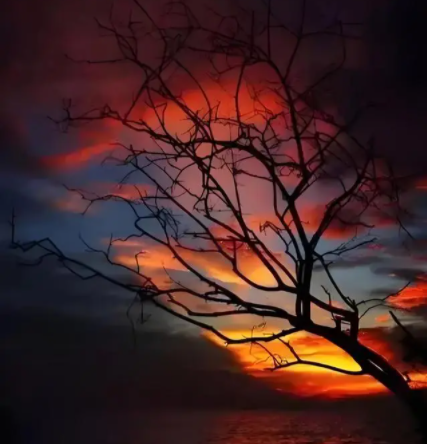 060102926.png image.png