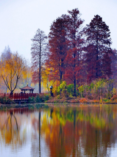 185508746.png image.png