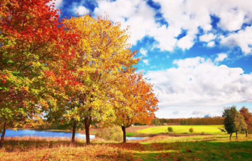 061300333.png image.png