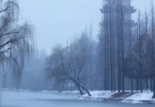 211209436.png image.png
