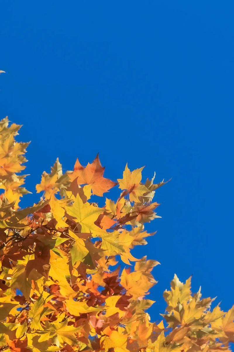 085808040.png image.png