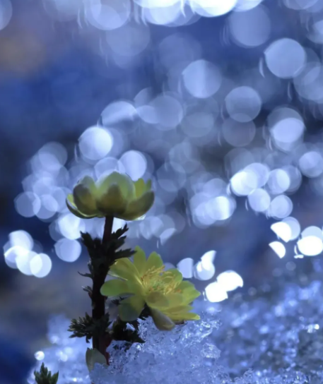 204408791.png image.png