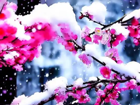 071400181.png image.png