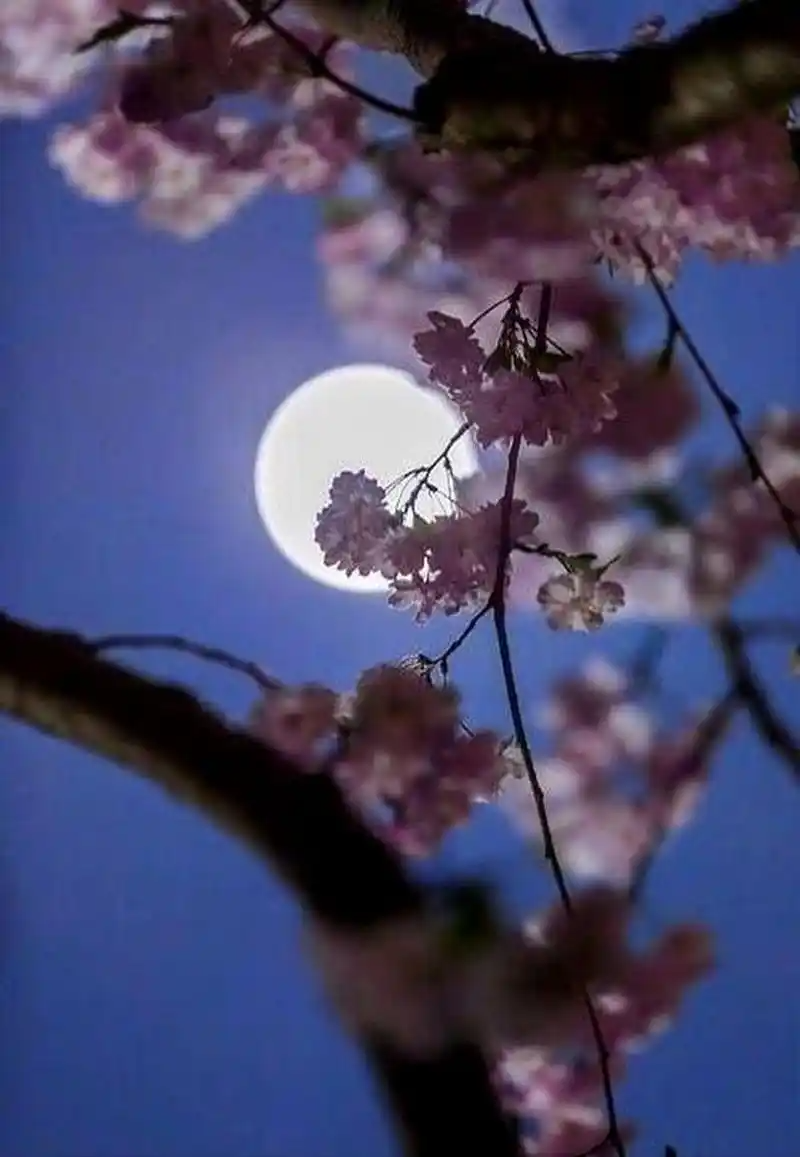 113402953.png image.png