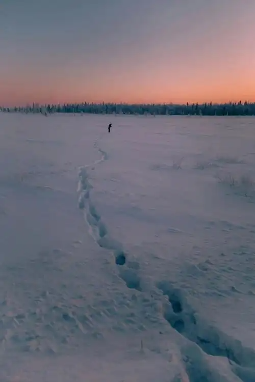 163209777.png image.png