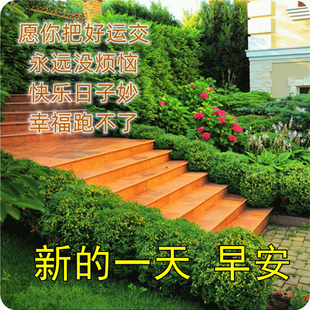 6ecf609382a458f002aed5251d8f39c89032.gif