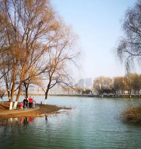 063804900.png image.png