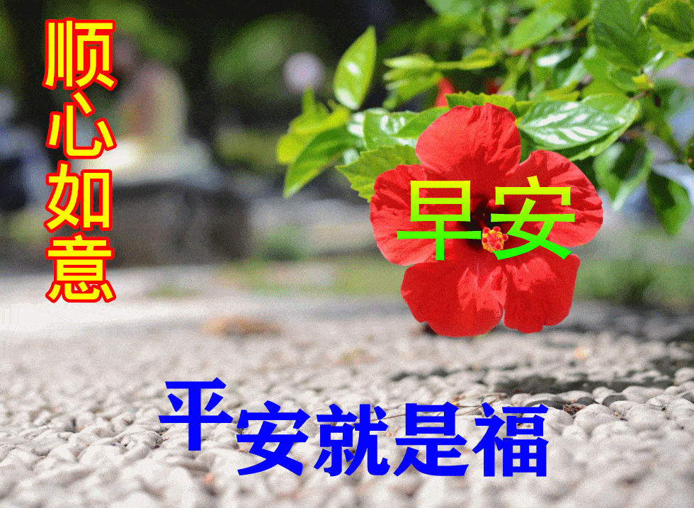 1bf129c9b49b4021ae9f0e788a3b4cad.webp