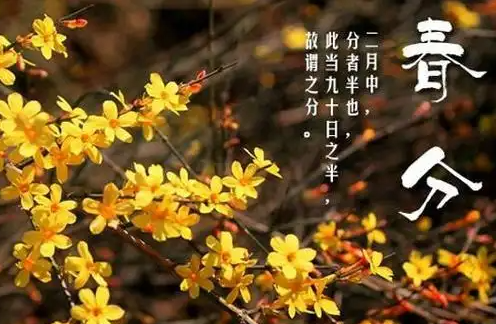 062206713.png image.png