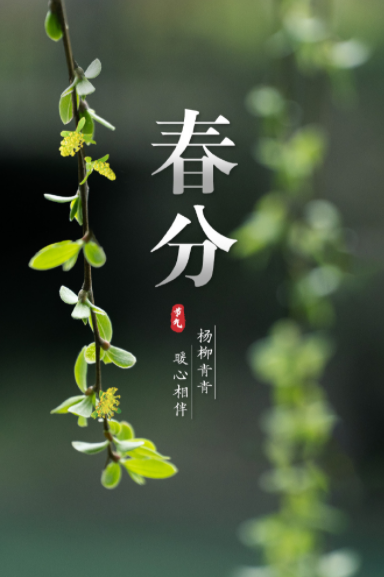 062107677.png image.png