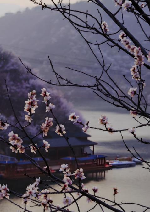 213301732.png image.png