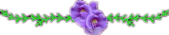c055b7e24a08373c4421fef55345d906_2202bpy32_ns.png