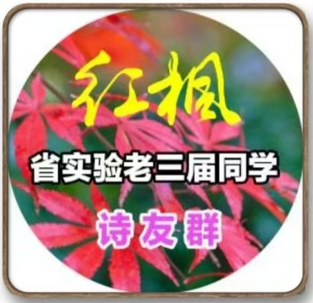 221202233.png image.png