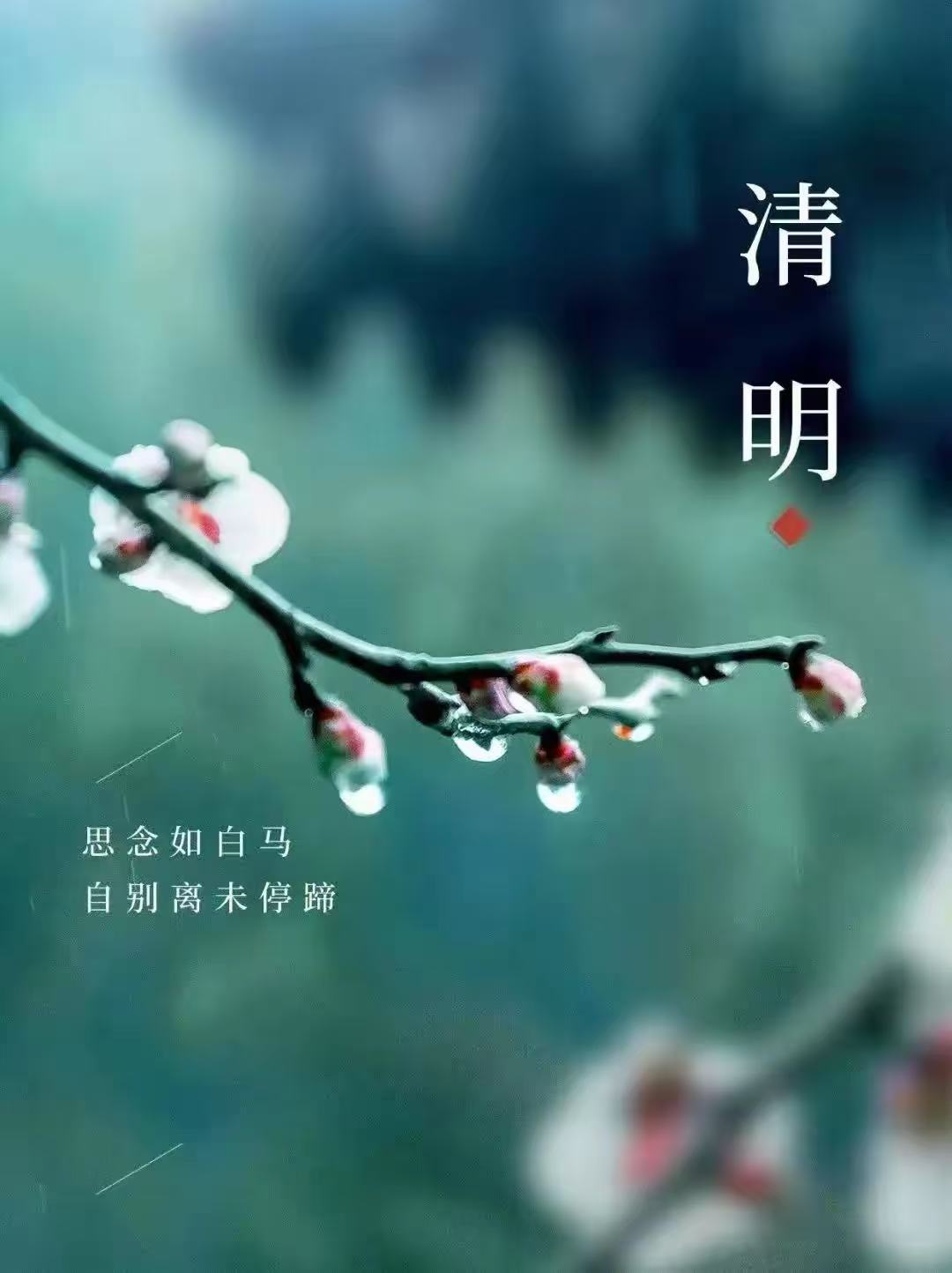 寰俊鍥剧墖_20250404102712.jpg