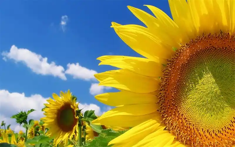 123704703.png image.png