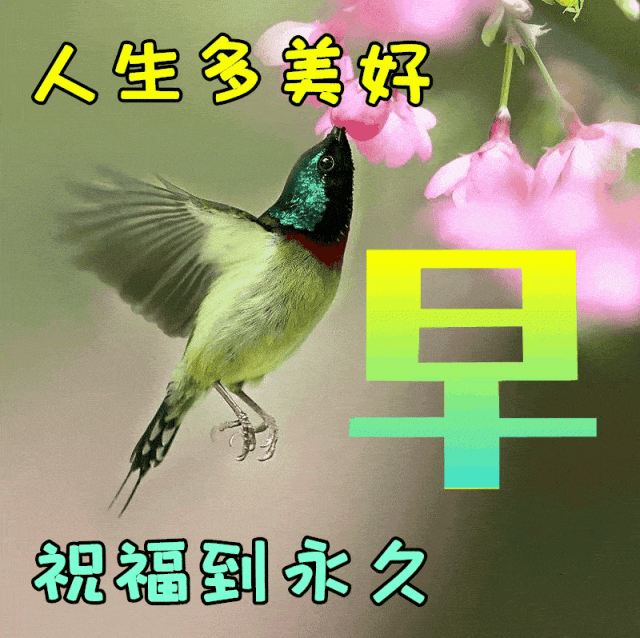379fed950255bb1b304bd42d85ecfa40.gif