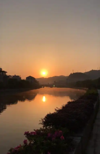 200109931.png image.png