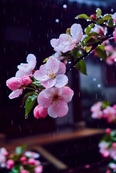 054502729.png image.png