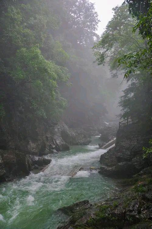 微信图片_20250420125019