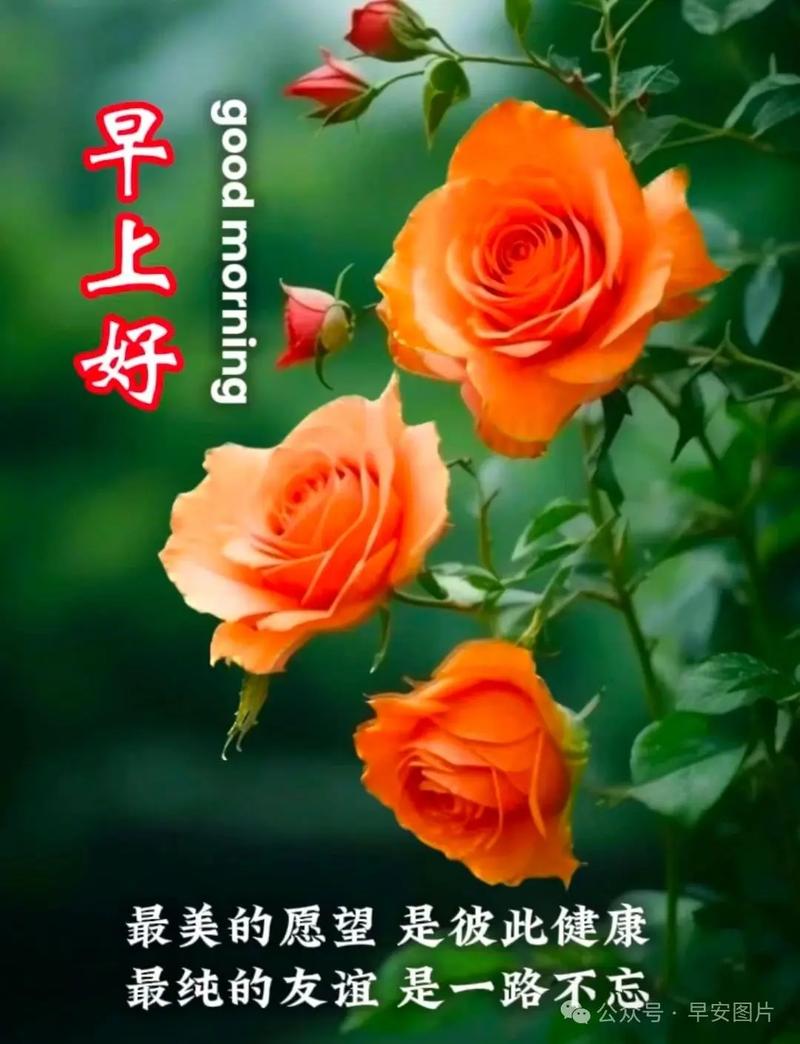 u=1853508079,1726782896&fm=253&app=138&f=JPEG.jpg