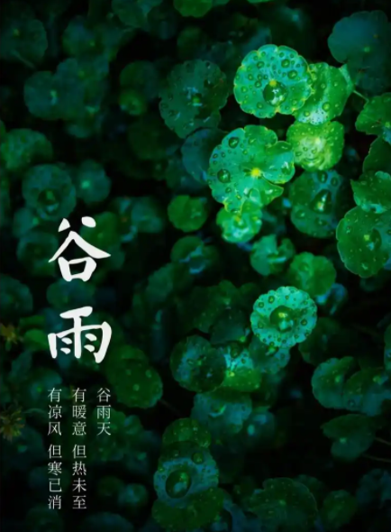 065800102.png image.png