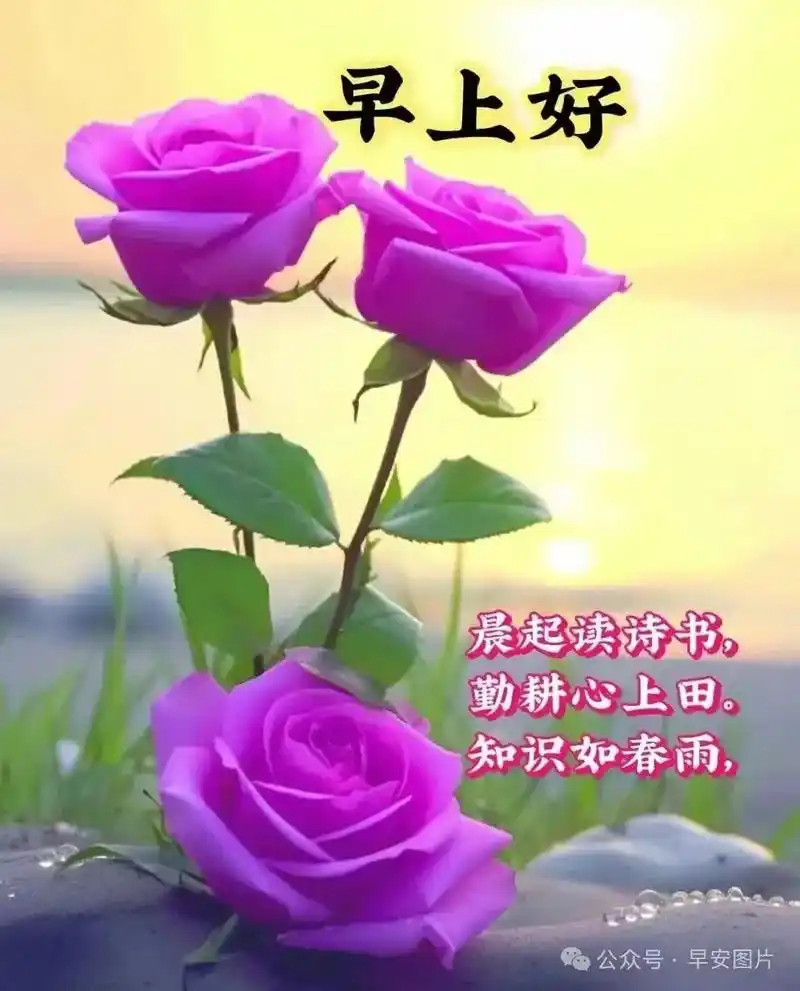 u=3556396323,2597136969&fm=253&fmt=auto&app=138&f=JPEG.webp