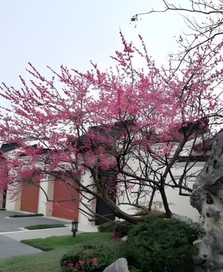 065406911.png image.png