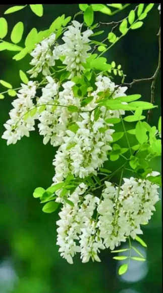 050504231.png image.png