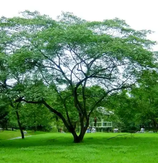 054301394.png image.png
