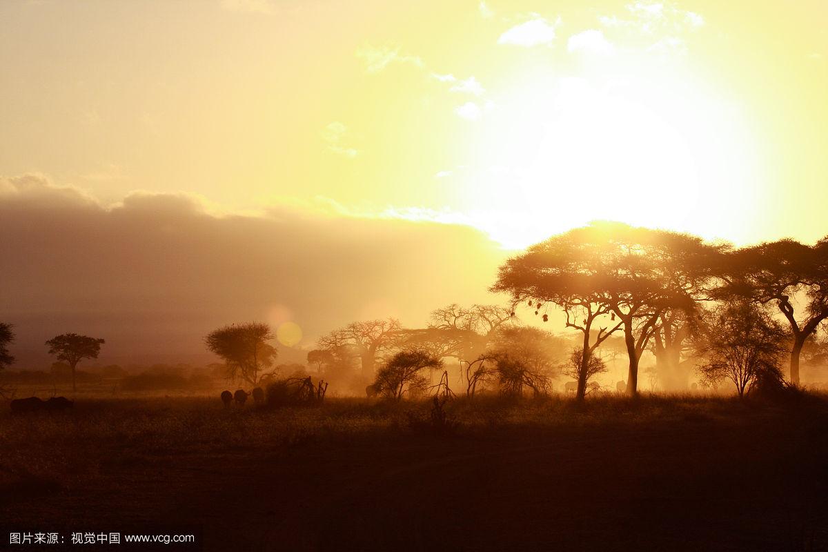 1627525403877093957.jpg u=173638626,2910602441&fm=193&f=GIF.jpg