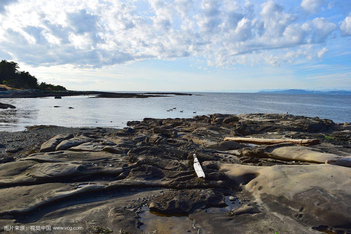 1627525536145070067.jpg u=695255968,1788495513&fm=193&f=GIF.jpg