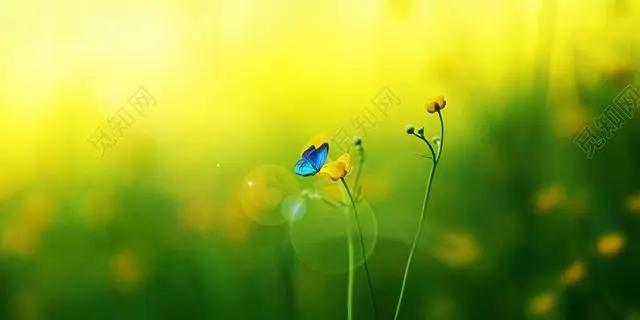 113105096.webp b297eb1c62c7d6b0dd916581c4920616_u=1140722588,125524938&fm=253&fmt=auto&app=138&f=JPEG_w=640&h=320.webp