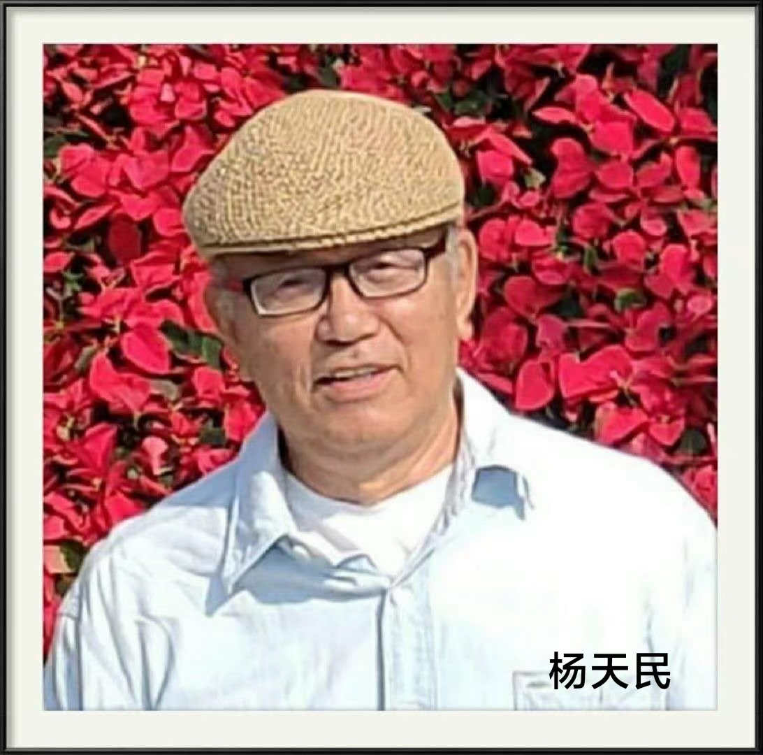 203503001.png image.png