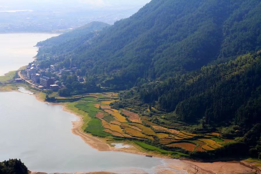 微信图片_20240620064159