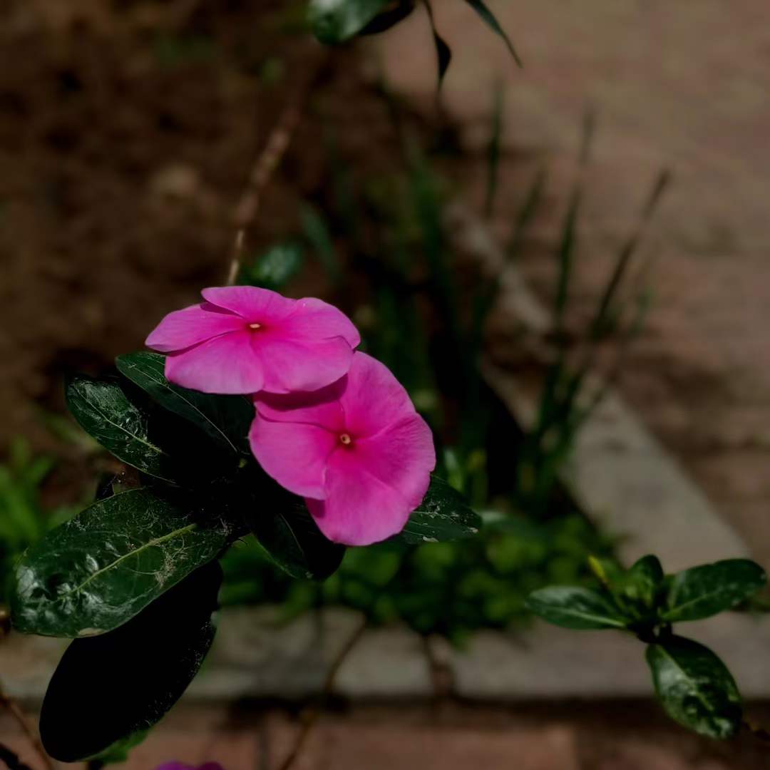 41bb4176f2a987b895b099b74ff96556.jpg