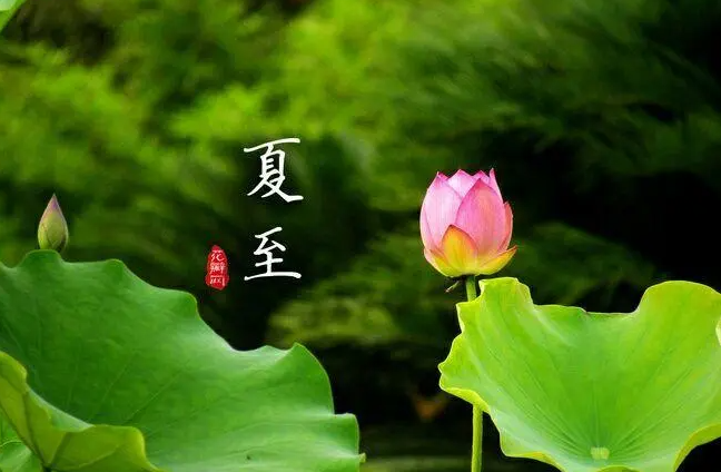 220202583.png image.png
