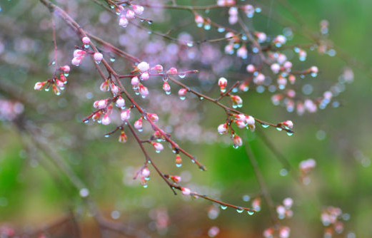 045100180.png image.png