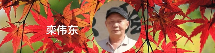 055103998.png image.png