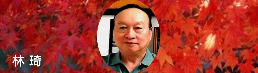 055204172.png image.png