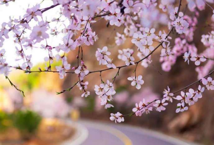 224105474.png image.png