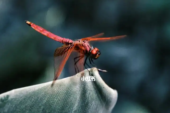 060602815.png image.png