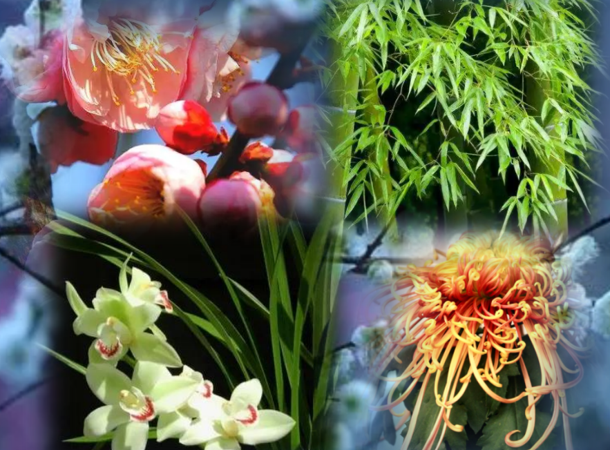 060207314.png image.png