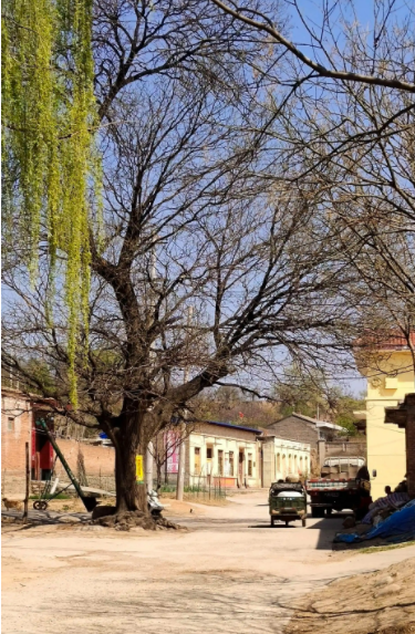 044203912.png image.png