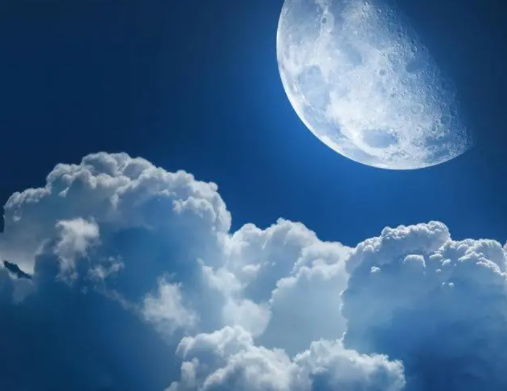 223706907.png image.png