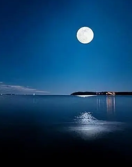 055602691.png image.png