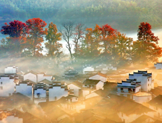 190608335.png image.png