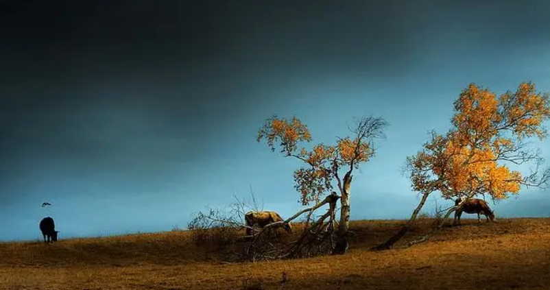 212901919.png image.png