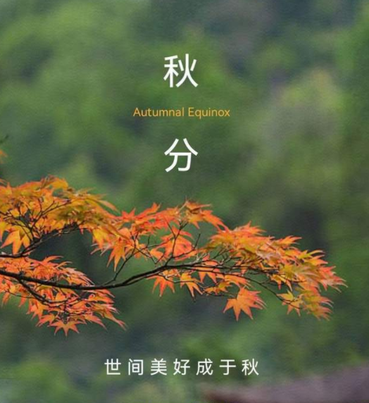 190704321.png image.png