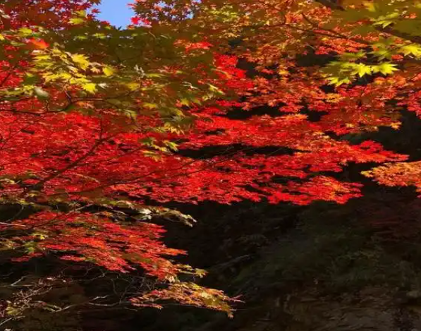 183308995.png image.png